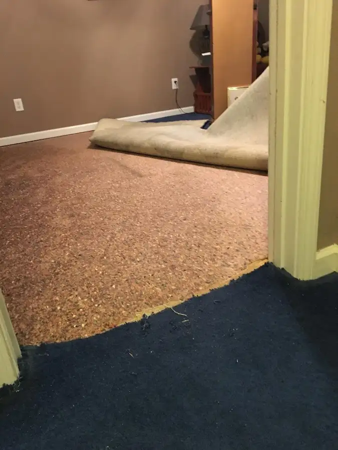 Carpet pad removal revealing water damage during Drying & Dehumidification in Clark