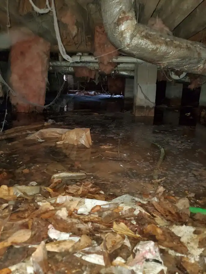 Crawl space flood assessment for Leak Detection & Repair in Clark