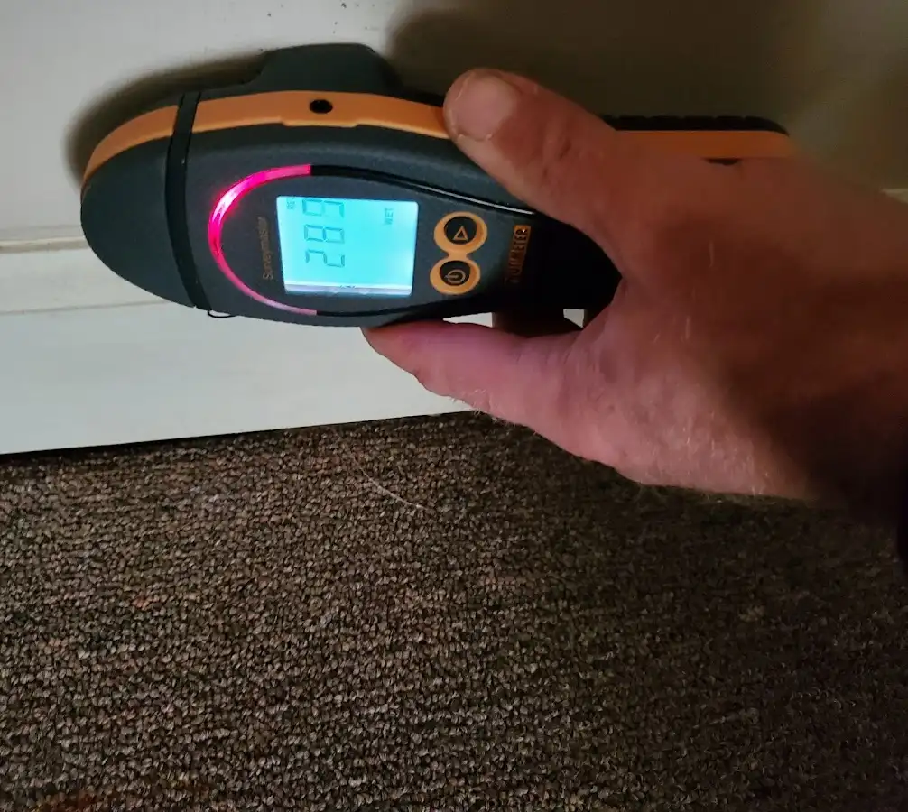 Moisture detection at baseboard during Mold Inspection & Testing in Clark